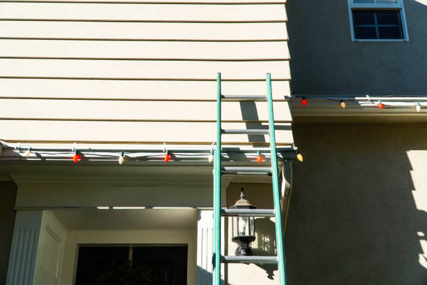 Best Siding for New Construction  in Ives Estates, FL